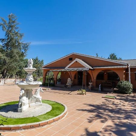 Finca El Palomar De La Vina Madrid Exteriér fotografie