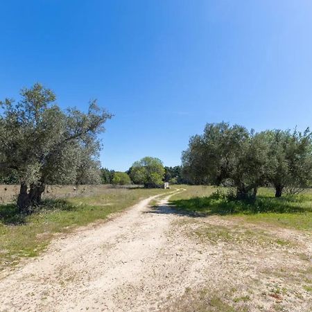Finca El Palomar De La Vina Madrid Exteriér fotografie