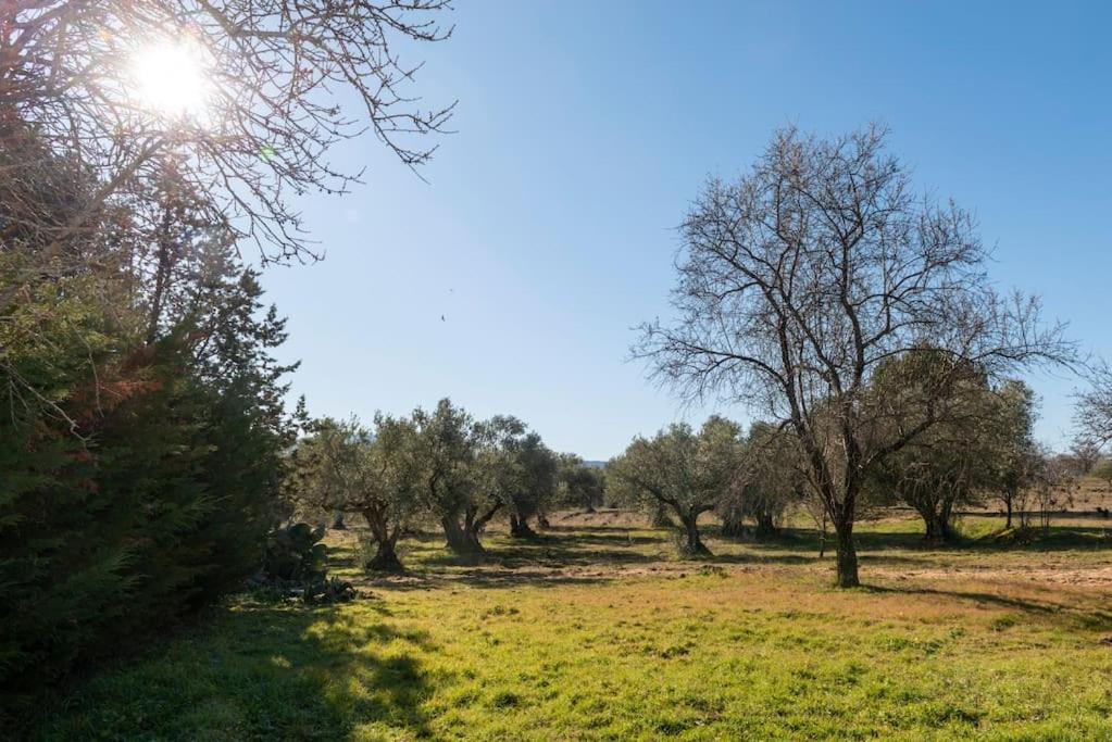 Finca El Palomar De La Vina Madrid Exteriér fotografie