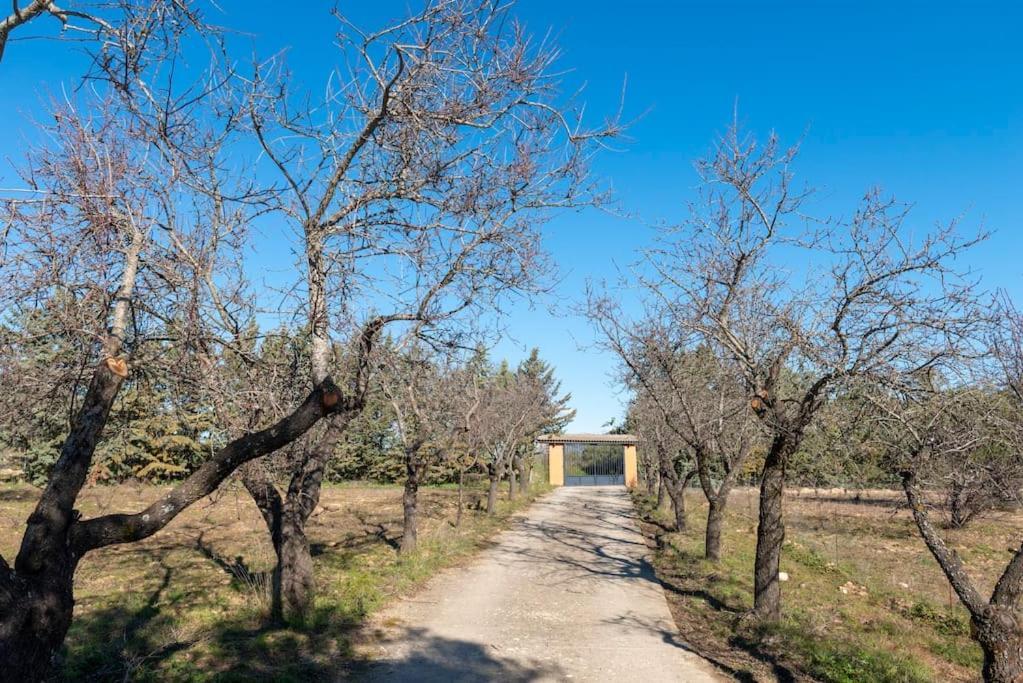 Finca El Palomar De La Vina Madrid Exteriér fotografie
