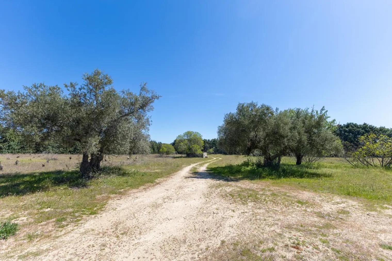 Finca El Palomar De La Vina Madrid Exteriér fotografie